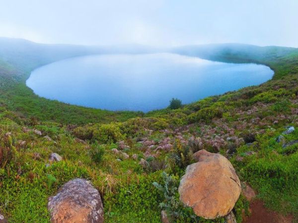 12 day galapagos expedition 1 12 day expedition - galapagos island hopping tours