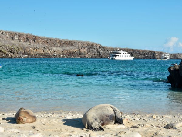 13 day galapagos complete luxury cruise island hopping 13 day galapagos complete luxury - cruise + island hopping - galapagos island hopping tours