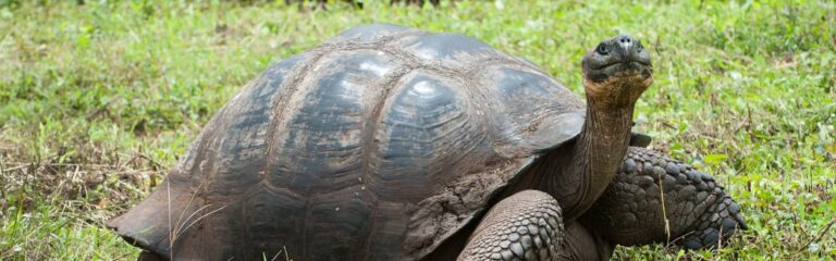 3 day classic santa cruz 3 day classic santa cruz