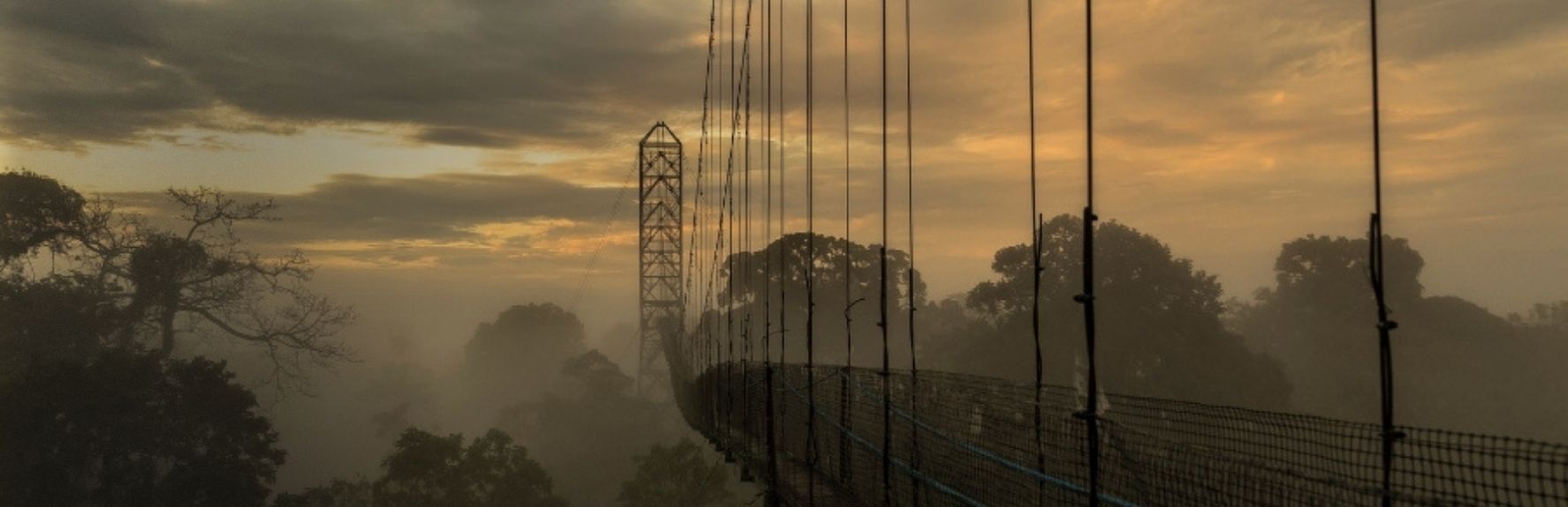 4 Day Amazon Yasuni Adventure