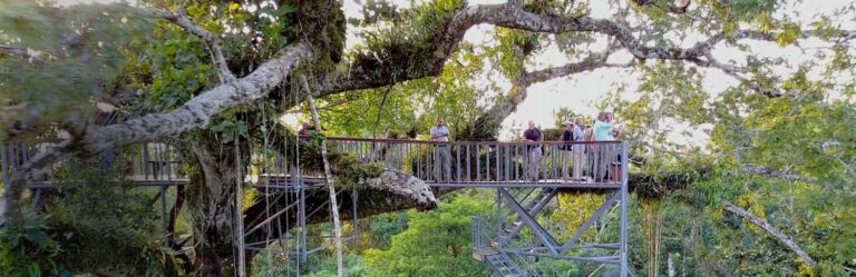 44 day latin america experience 44-day latin america expedition