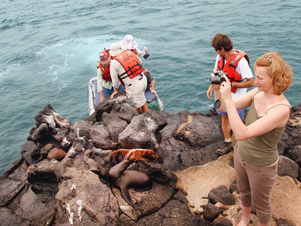 5 day galapagos expedition 1 5 day expedition - galapagos island hopping tours