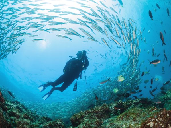6 day galapagos padi scuba course 6-day galapagos padi scuba course - galapagos island hopping tours