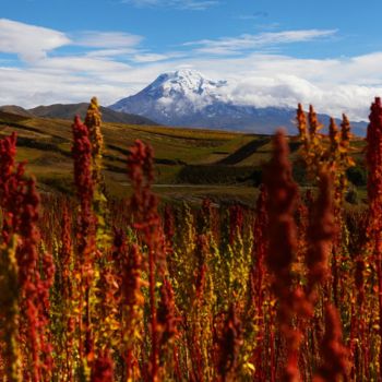 6 day hiking ecuadorian andes 6 day hiking ecuadorian andes