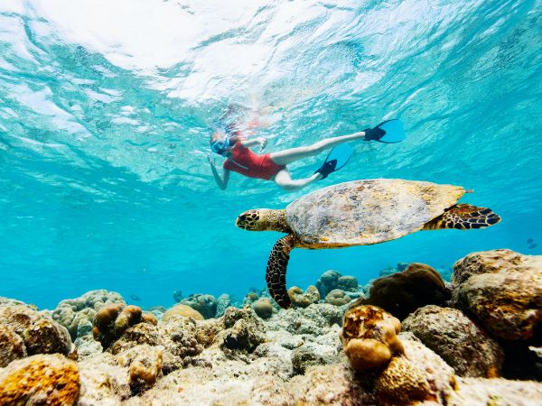 7 day galapagos luxury safari 7 day galapagos luxury safari - galapagos island hopping tours