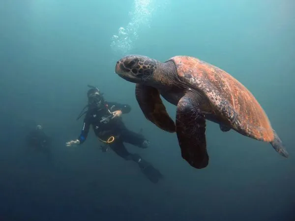 8 day galapagos multisport 8 day multisport - galapagos island hopping tours