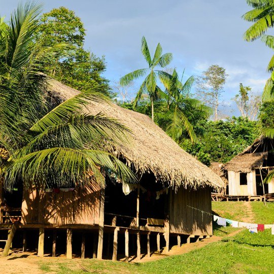 amazon colombia amazon colombia