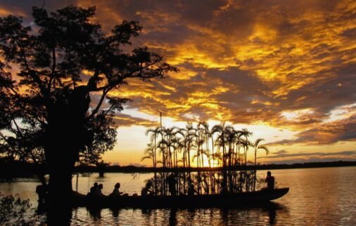 ecuadorian amazon - cruise or lodge