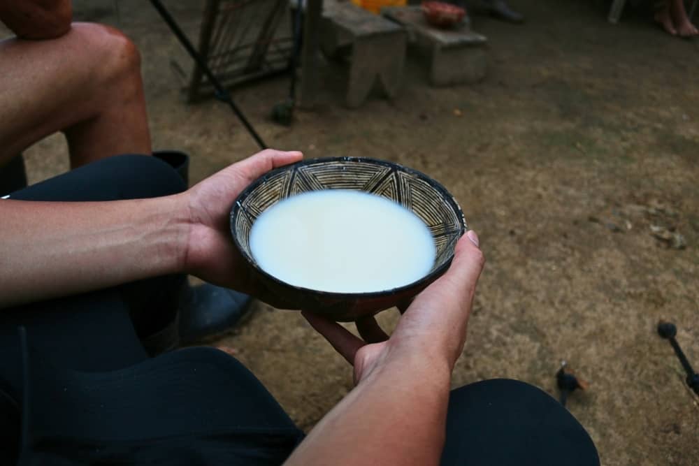 amazon drink chicha 1 amazon drink chicha