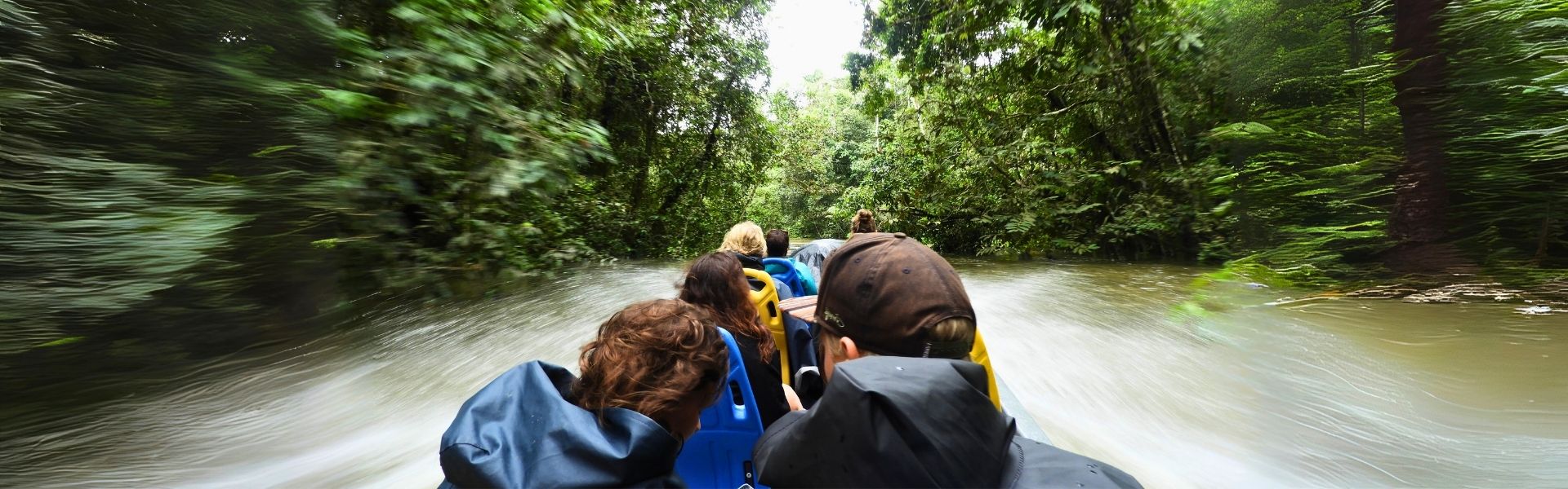 amazon journey cuyabeno amazon journey cuyabeno