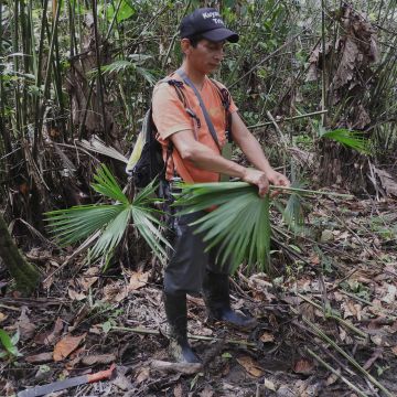 amazon napo adventure top 5 ecuador amazon tours