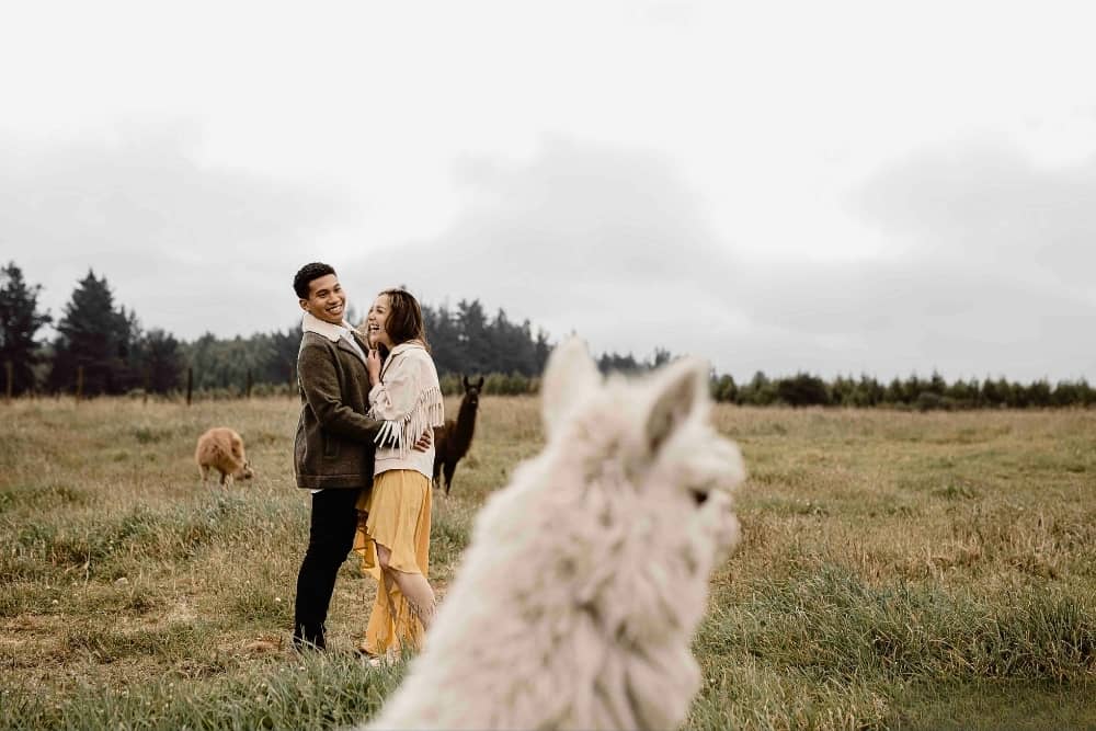 andes couple 1 andes couple