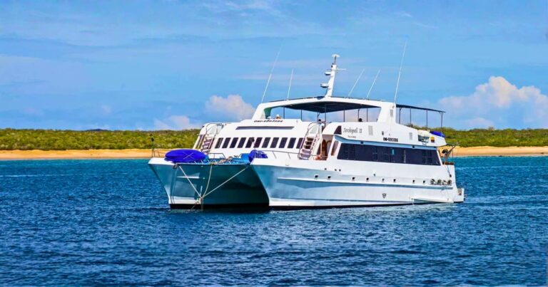 archipel ii experience archipel ii experience