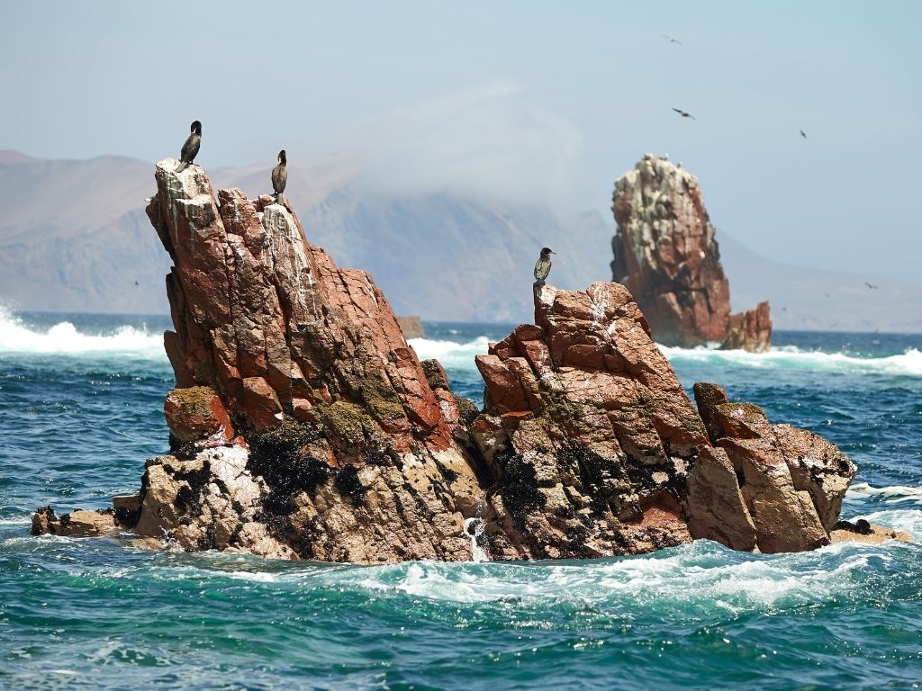 ballestas islands peru ballestas islands peru
