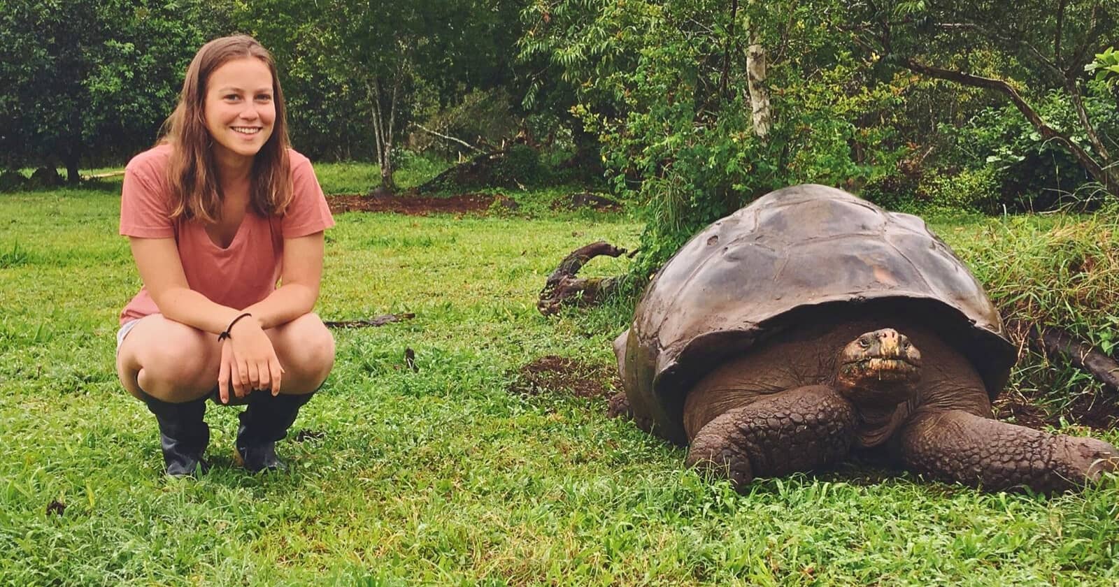 bay tour santa cruz bay tour santa cruz