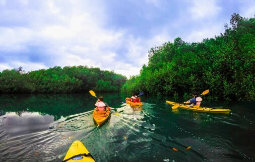 best time to visit latin america