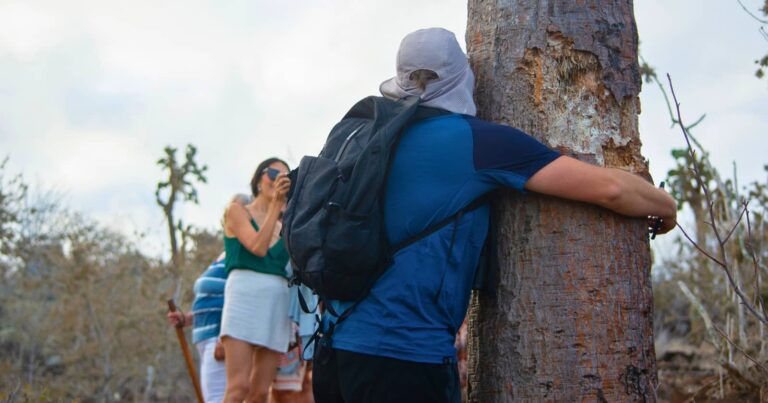 best travel apps 1 best travel apps