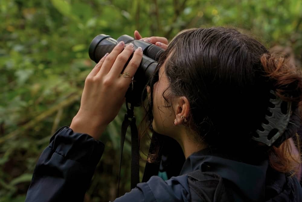 birdwatching amazon birdwatching amazon cuyabeno - classic family adventure
