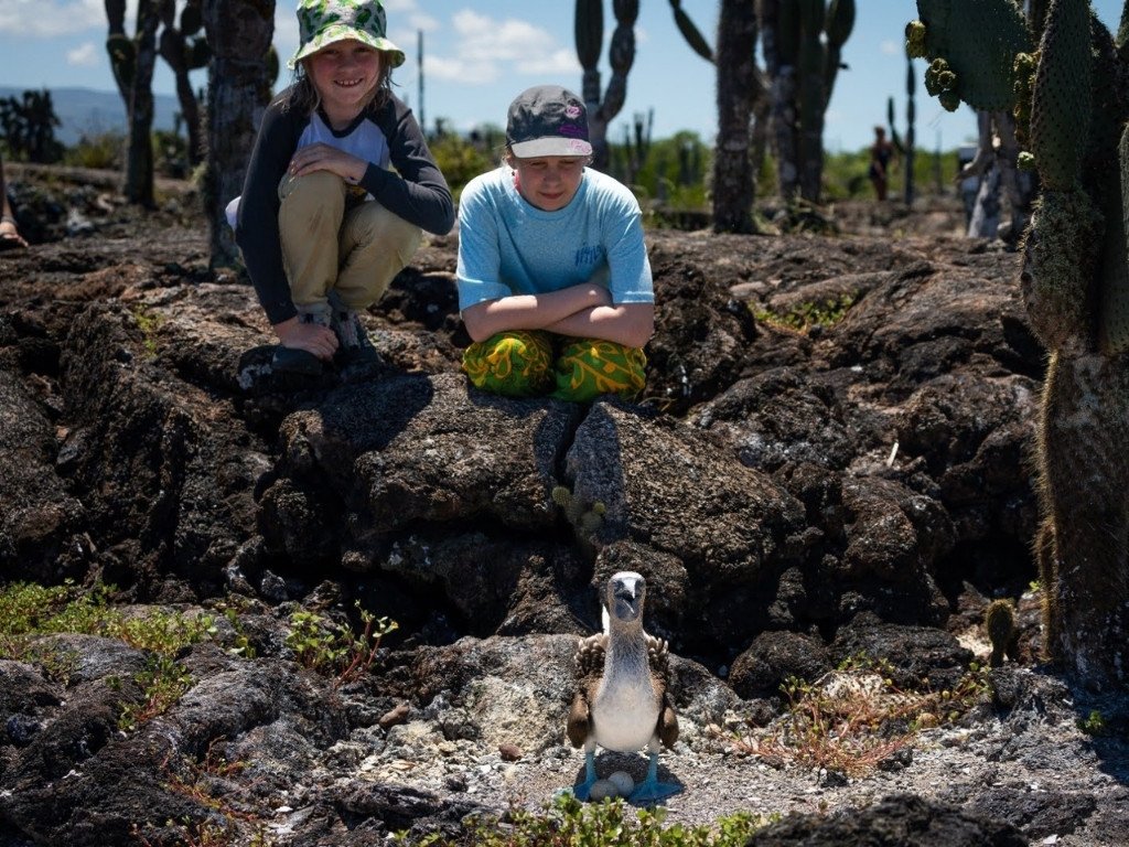 birdwatching as activity at the galapagos islands birdwatching as activity at the galapagos islands
