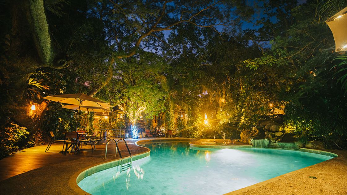 bosques del mar 2 bosques del mar