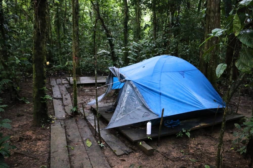 camping amazon 1 yasuni camping