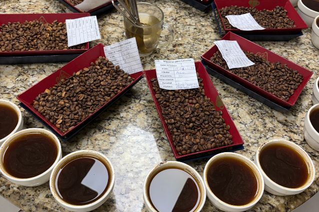 camping in costa rica coffee camping in costa rica coffee