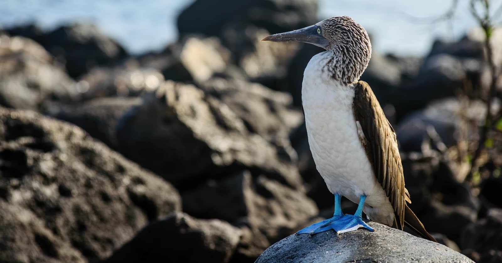 can you visit the galapagos islands can you visit the galapagos islands