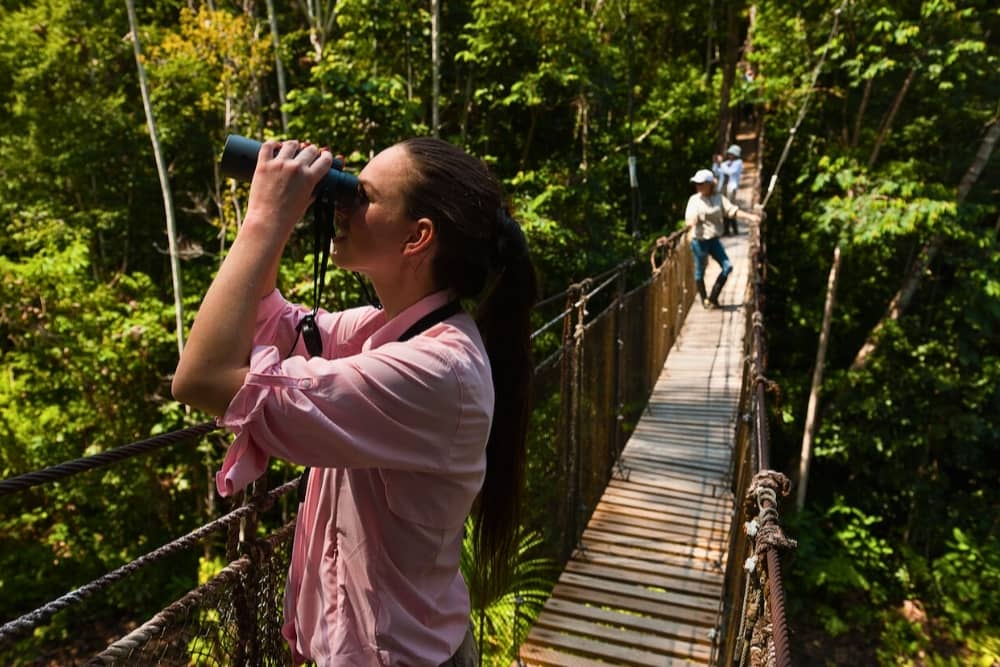 canopy peru peru travel experiences - canopy in the peruvian amazon