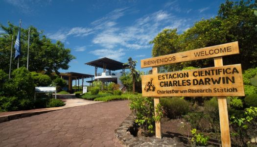 charles darwin foundation