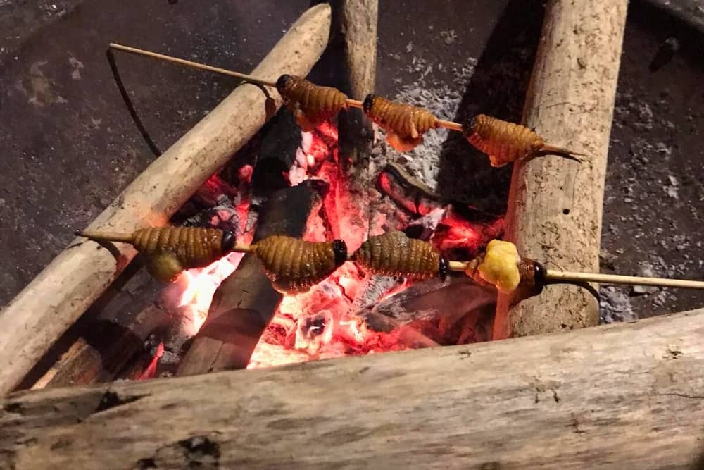 chontacuro grill chontacuro grill - wellness amazon