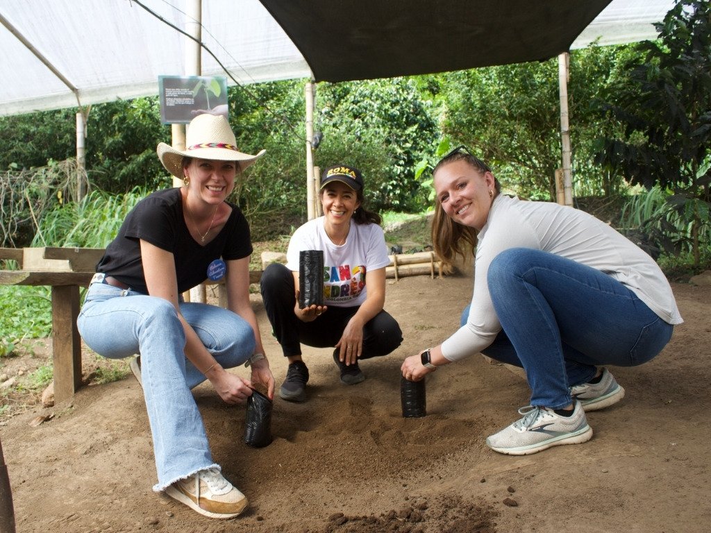 colombia coffee plantation colombia coffee plantation