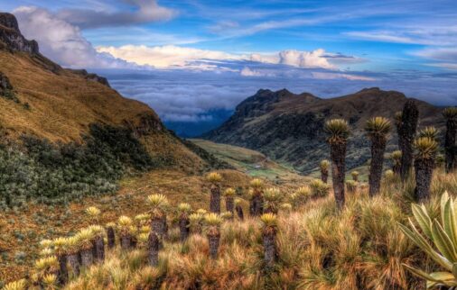 majestic andes-colombia vacation