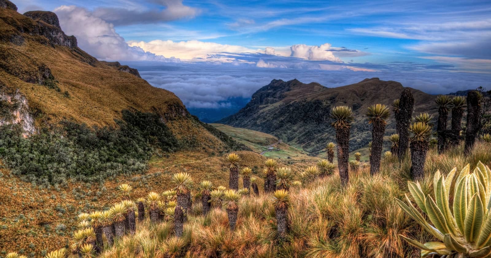 colombia vacation majestic andes-colombia vacation