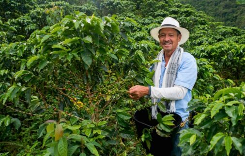 colombian coffee region