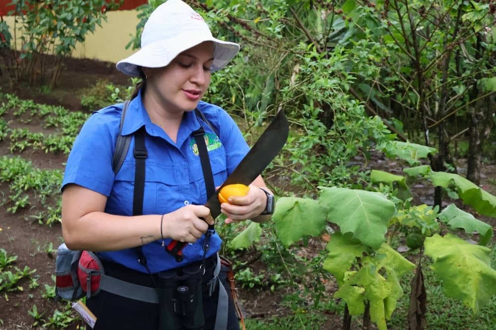 costa rica guide guide at finca luna nueva in costa rica