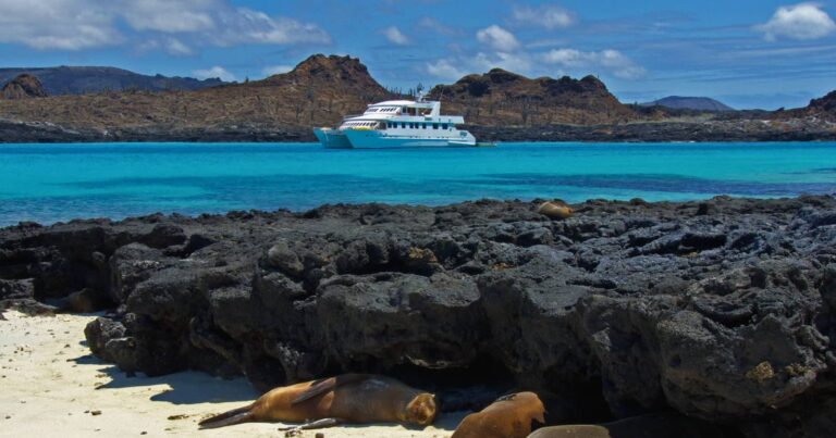 cruise to galapagos 1 best galapagos cruise - how to choose