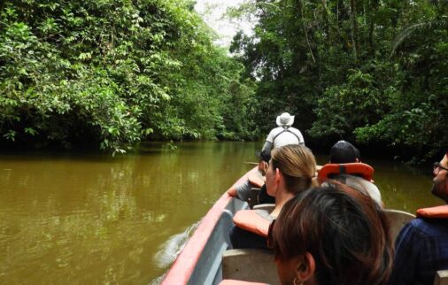 aliki's cuyabeno amazon experience