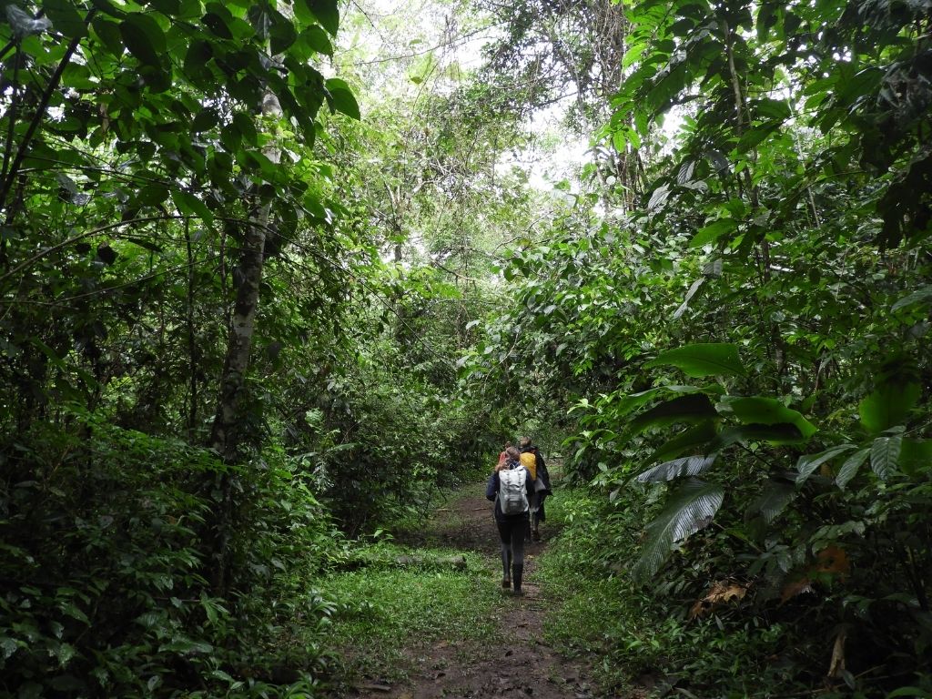 cuyabeno hiking amazon journey cuyabeno hiking