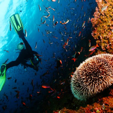 daphne galapagos islands daphne - galapagos islands