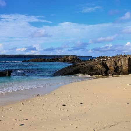 Darwin-Bay-Galapagos-Island Rebecca Adventure Travel Darwin Bay - Genovesa Island - Galapagos Cruise Visit