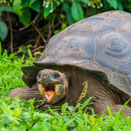 Santa Cruz Highlands Rebecca Adventure Travel Santa Cruz Highlands