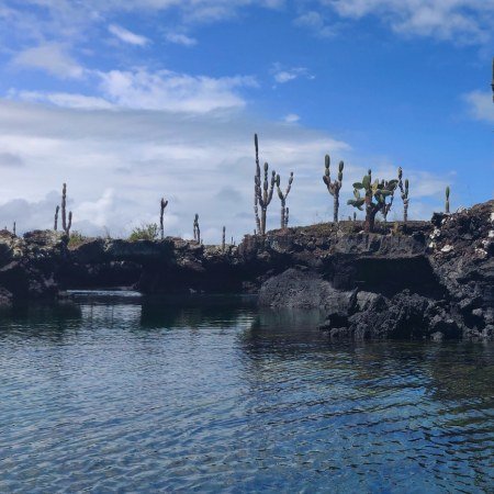 Day 36 - South America Expedition - Los Tuneles Rebecca Adventure Travel Day 36 - South America Luxury Adventure - Los Tuneles