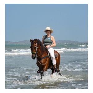 dutch news 3 travel around with me