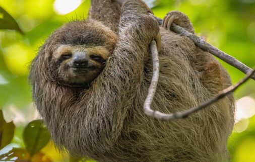 ecotourism in costa rica