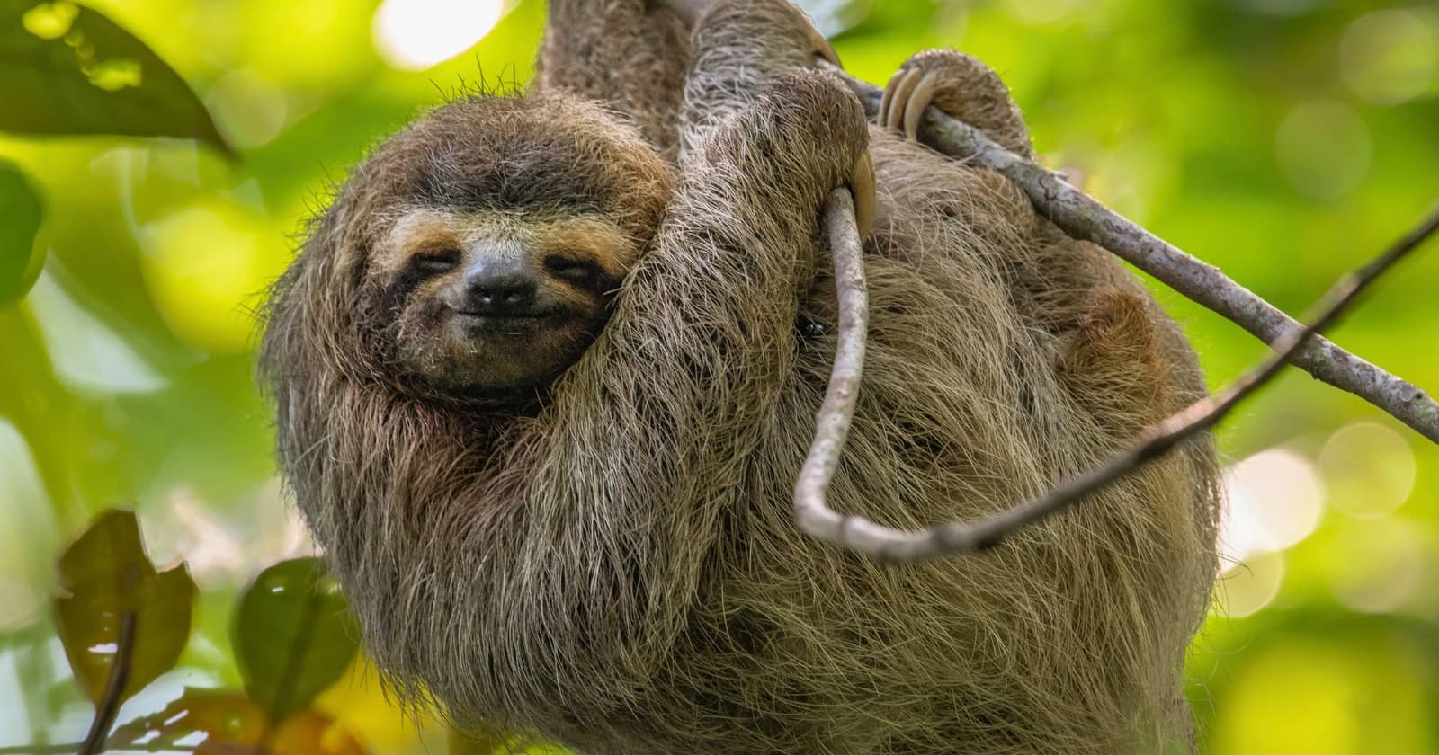 ecotourism in costa rica ecotourism in costa rica