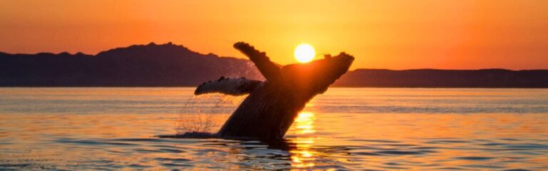 ecuador family quest 19-day relax ecuador