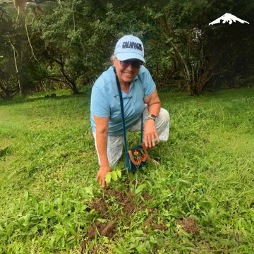 environmental impact environmental impact