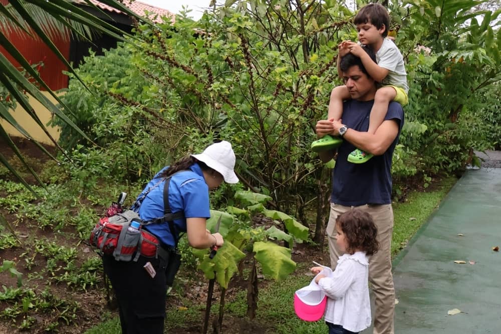 finca luna nueva rebecca's children at finca luna nueva in costa rica