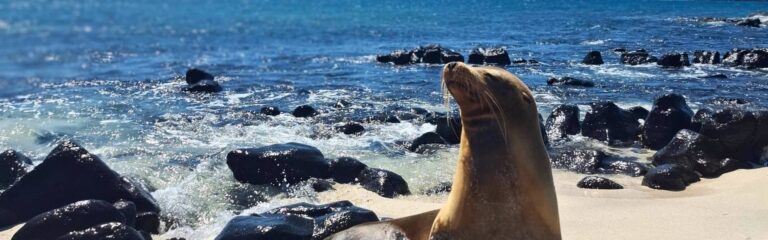 galapagos adventure 5 day galapagos island hopping budget