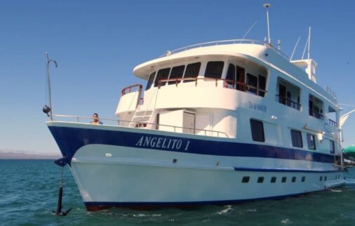 galapagos angelito cruise experience